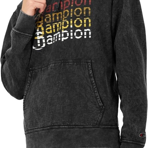 NWT Champion Mineral Dye Graphic Gray Hoodie Fleece Mens Hoodie Sweatshirt Small - Picture 3 of 5